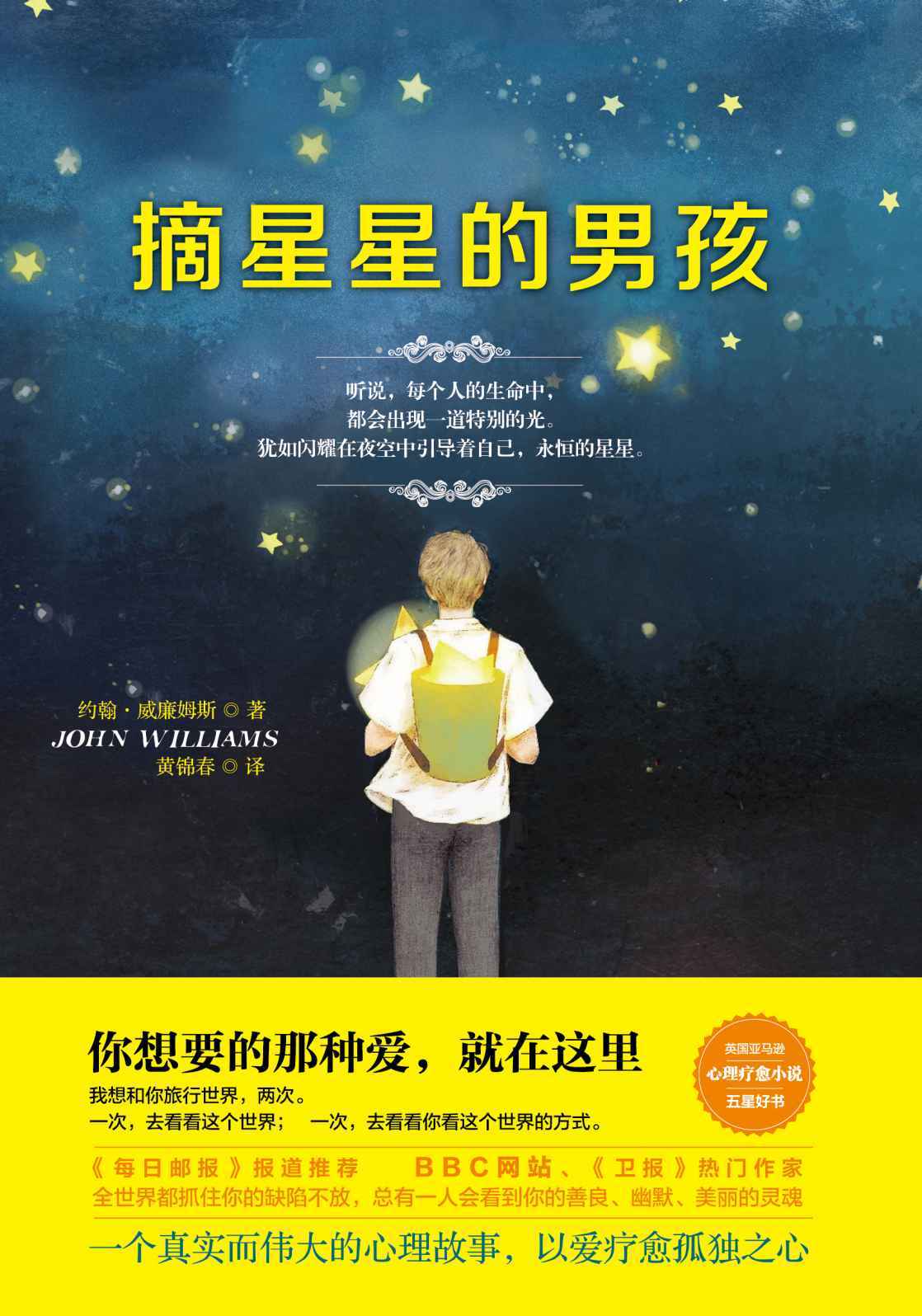 摘星星的男孩（英国作家约翰·威廉姆斯成名之作！《每日邮报》大力推荐！英国亚马逊五星好评！）